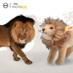 steiff national geographic lion inspiration