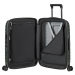 spinner cabin case ivy