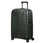 proxis spinny ivy carryon