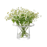 vc03 lsa victoria 13.5 cm vase3
