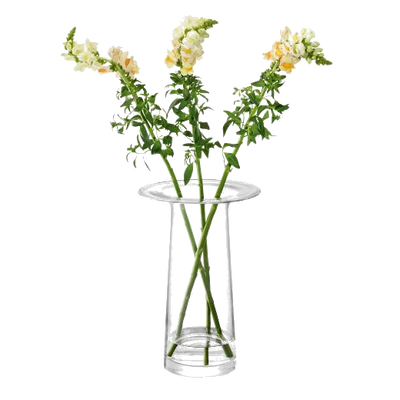 vc09 lsa victoria 36cm vase