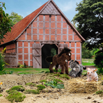 steiff sissy the piglet lifestyle