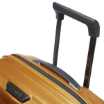 samsonite carry on honey go