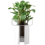 planter lsa