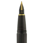 lamy fountain pen nib