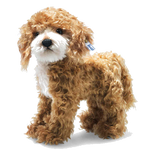 This is Ricky the Cockapoo designed by Steiff.