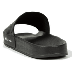 zebra nyro slides
