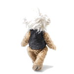 alberteinstein teddy