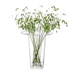 This LSA Victoria Clear Glass Vase Lantern 45 cm is great for large bouquets of flowers or a bunch of dried florals.