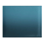 two tone montblanc blue wal