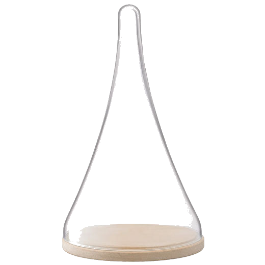 lsa signature cloche tall dome with oak base