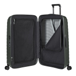 interior climbing ivy case