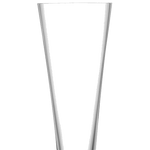 lsa moya set of 2 champagne flutes rim