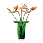 This Victoria Fern Green Glass Vase Lantern 45 cm by LSA looks great with contrasting colours such as a bouquet of orange flowers.