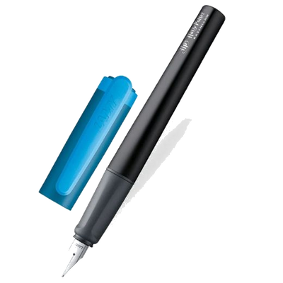 lamy ravenclaw nexx fountain pen