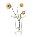 This Victoria Clear Glass Vase 15 cm by LSA looks great on a table top or mantelpiece.