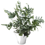 georg jensen bloom botanica medium plant pot in use