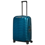 proxis spinner case in petr