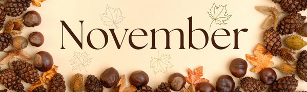 November New In