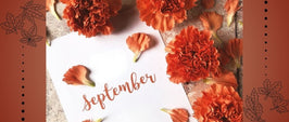 September New In