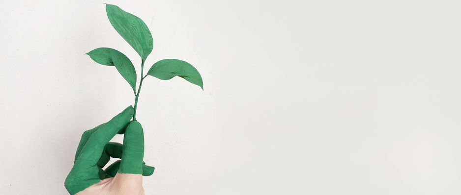 Making our world Sustainable
