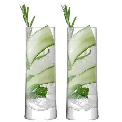 lsa signature gin highball set of 2
