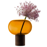 lsa oblate tall amber vase with walnut base plant
