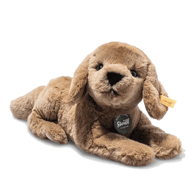 lenny labrador brown