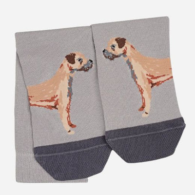 The Ash Grey Radley & Friends Pair of Socks with Dog Design by Radley.