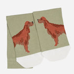 The Hosta Green Radley & Friends Pair of Socks with Dog Design by Radley.