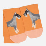 The Sundial Orange Radley & Friends Pair of Socks with Dog Design by Radley.