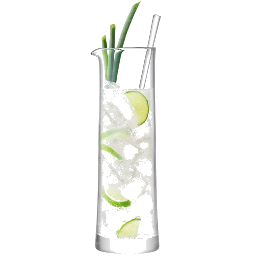 lsa signature gin cocktail jug with stirrer
