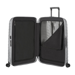 silver spinner case