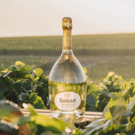 The Blanc de Blancs Champagne 75cl by Ruinart.
