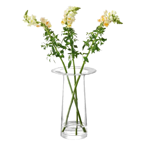 This Victoria Clear Glass Vase 36 cm by LSA looks great with a simple bunch of flowers etc.