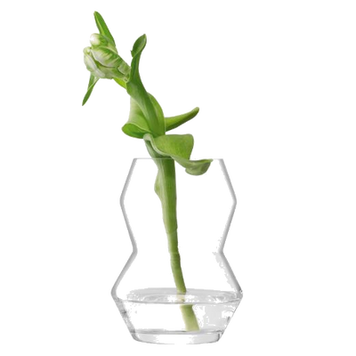 lsa sg01 sculpt vase clear2