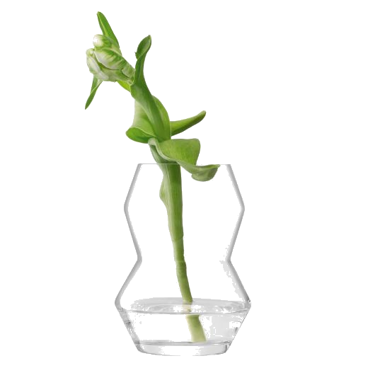 This LSA Small Sculpt Glass Vase 16 cm is perfect for small flower arrangements or single flowers.