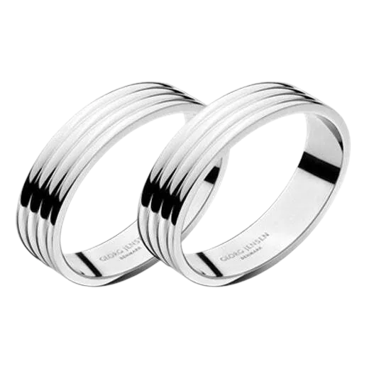 The Georg Jensen stainless steel napkin rings set of two.