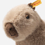 Close up of Chip the Capybara 23 cm.