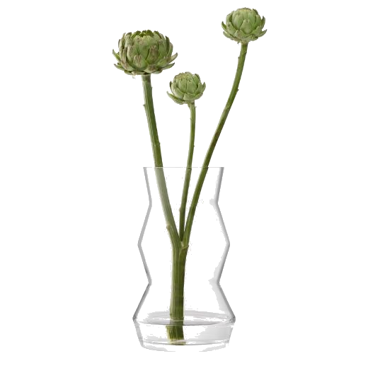 LSA's Medium Sculpt Glass Vase 36 cm is great for large floral arrangements and dried bouquets etc.