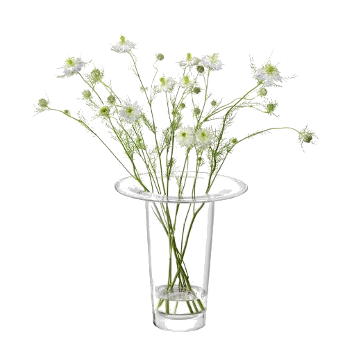 This LSA Victoria Clear Glass Vase Lantern 26 cm has a modern yet simple design that opens up with a flat brim at the top.