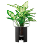 jet black planter