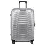 proxis spinner case silver