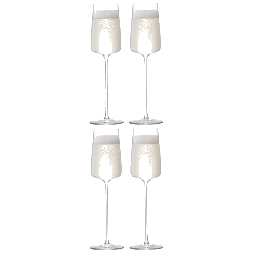 lsa metropolitan set of 4 champagne flutes