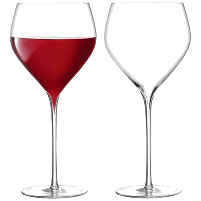savoy red wine glasses x2