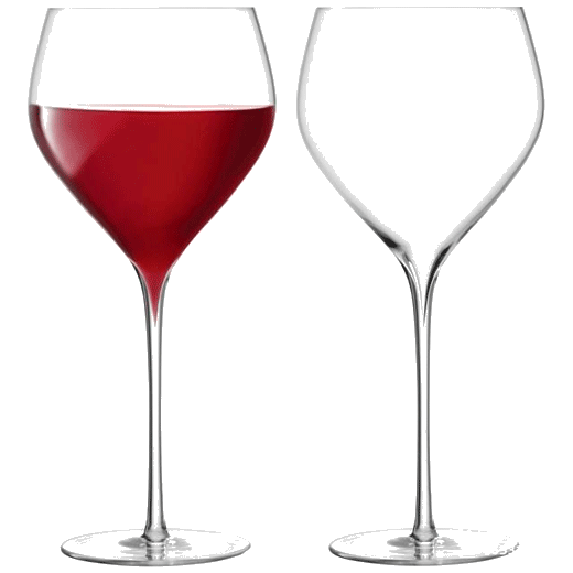 savoy red wine glasses x2