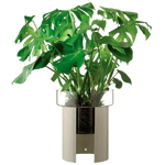 tall concrete grey planter