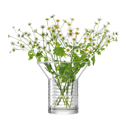 This Union Ribbed Cylinder Glass Vase 13.5 cm by LSA is great for displaying foliage from your garden.