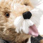 steiff einstein
