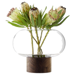 lsa oblate xl clear vase with walnut base plant